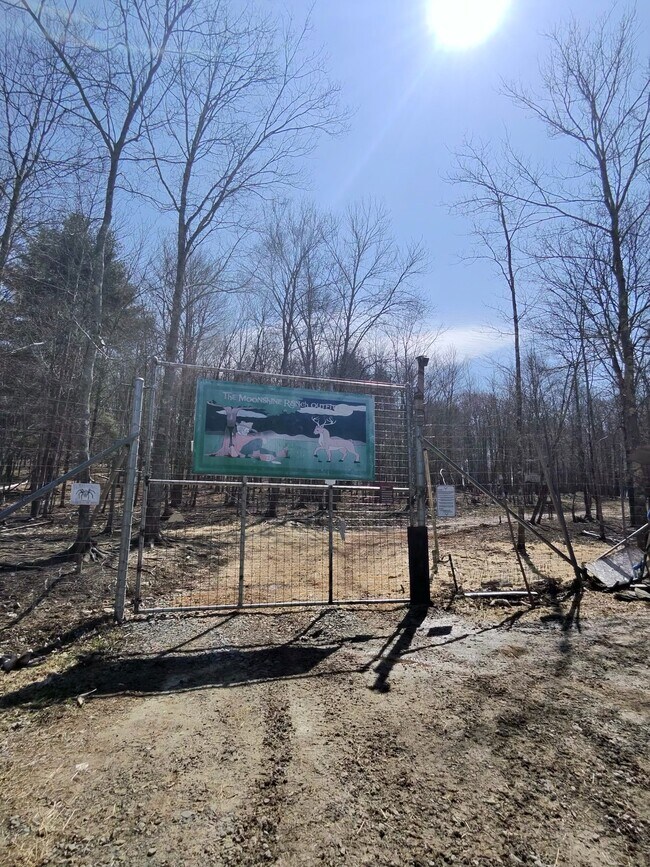 More details for 127 Blum Rd, Equinunk, PA - Land for Sale