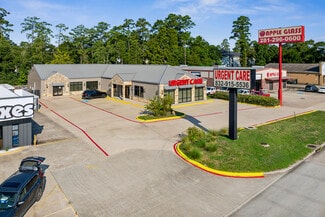 More details for 26211 I-45, Spring, TX - Office for Sale