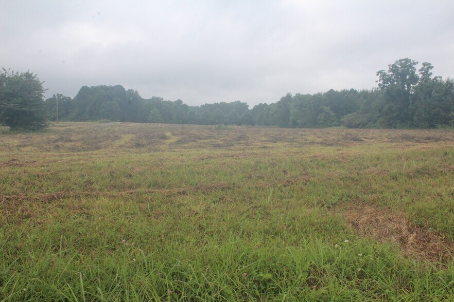 Highway 25, Cross Plains, TN à vendre - Photo principale - Image 3 de 3