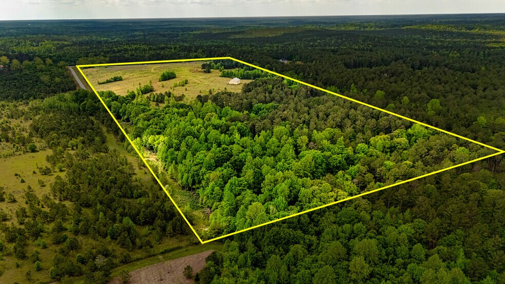 423 Coweta Heard Rd, Hogansville, GA à vendre - Aérien - Image 3 de 7