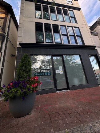 Plus de détails pour 65 Middle Neck Rd, Great Neck, NY - Commerce de détail à louer