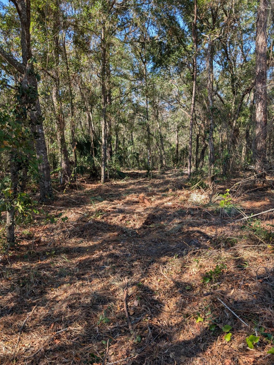 8330 Grover Cleveland Blvd blvd, Homosassa, FL for sale Primary Photo- Image 1 of 6