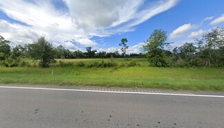 Plus de détails pour 0 US Hwy 27 S, Colquitt, GA - Terrain à vendre