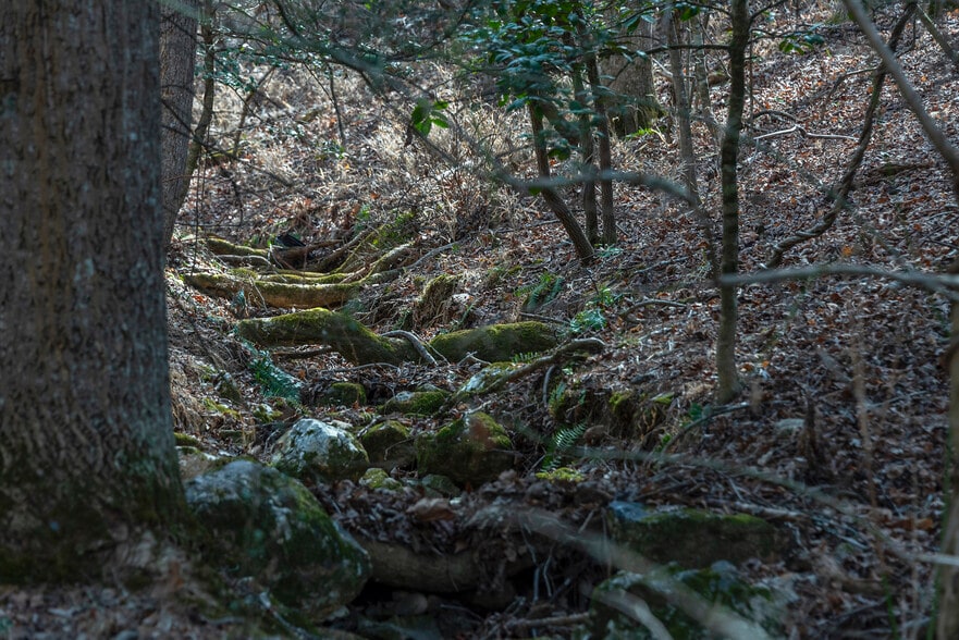 1720 Brevard Rd, Arden, NC for sale - Other - Image 3 of 13