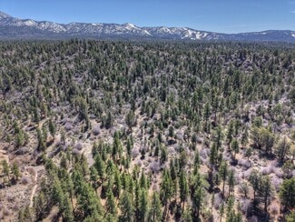More details for 615 Kean way, Big Bear City, CA - Land for Sale