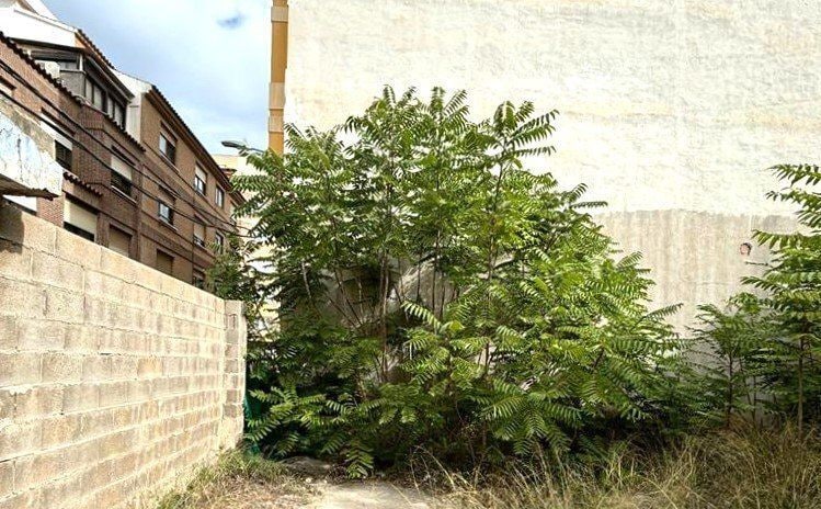 Vazquez Mella, CASTELLÓN DE LA PLANA, Castellón for sale - Building Photo - Image 3 of 16