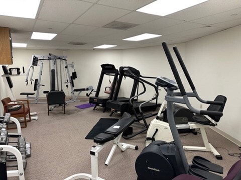 225 Old Country Rd, Melville, NY for lease - Interior Photo - Image 3 of 10