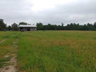 More details for 9118 Hazy Hollow Ln, Anderson, TX - Land for Sale