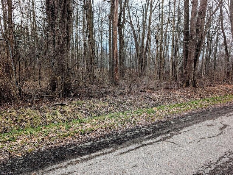 Magnolia Dr, Madison, OH for sale - Building Photo - Image 3 of 24