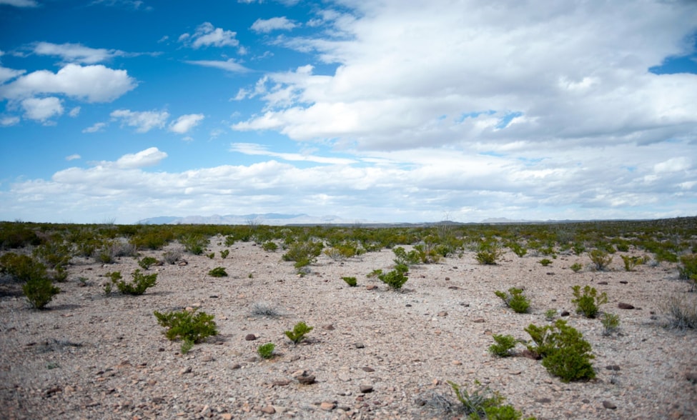 Fm 170, Presidio, TX à vendre - Autre - Image 3 de 7