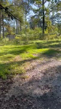 29960 Henderson Ln, Walker, LA for sale - Commercial Listing Video - Image 2 of 5