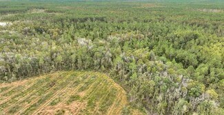 Plus de détails pour County Road 133, Willacoochee, GA - Terrain à vendre