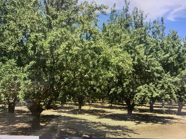 4040 highway 45, Colusa, CA for sale - Primary Photo - Image 1 of 1