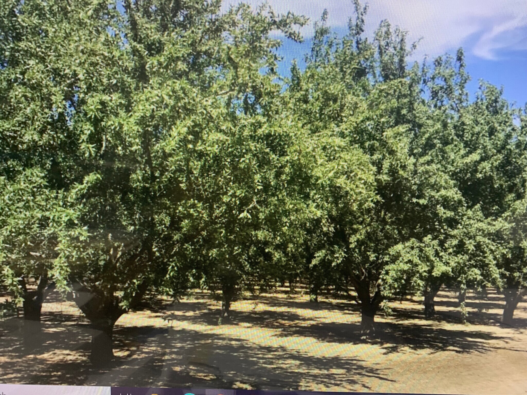 4040 highway 45, Colusa, CA for sale Primary Photo- Image 1 of 1