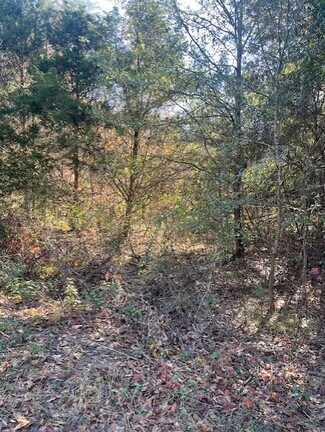 Plus de détails pour Goff Cir, Alma, AR - Terrain à vendre