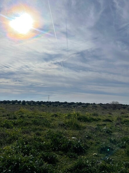 Calle Carretera CM-4010, Seseña Nuevo, Toledo à vendre - Autre - Image 2 de 4