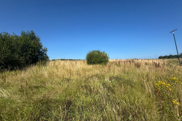 Newcastle Great Park, Newcastle Upon Tyne à vendre - Autre - Image 2 de 2