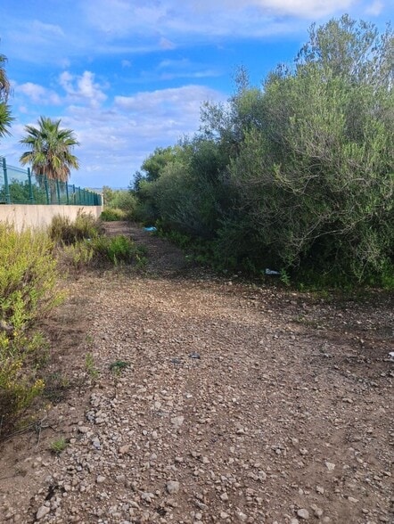 Land in Manacor, Islas Baleares for sale - Building Photo - Image 3 of 15