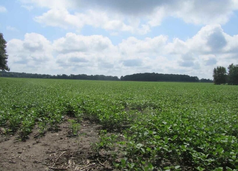 Capac Rd, Armada, MI for sale - Building Photo - Image 3 of 4