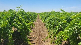 More details for 5835 N Rolinda Ave, Fresno, CA - Land for Sale