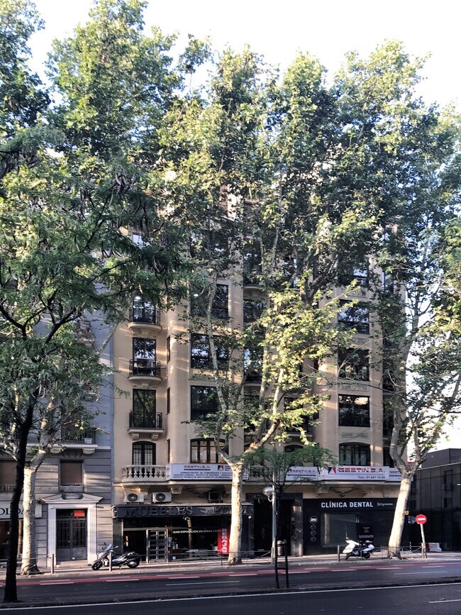 More details for Calle de Alberto Aguilera, 7, Madrid - Retail for Lease