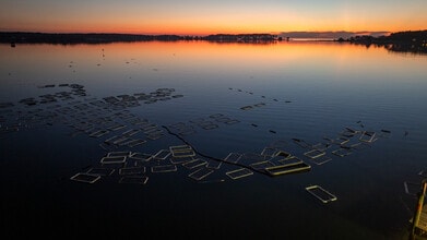 49767 Freemans Rd, Dameron, MD - AÉRIEN  Vue de la carte - Image1