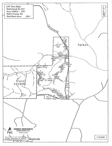 Talbot County Tract 32005A, Junction City, GA à vendre - Plan de site - Image 2 de 2