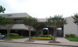 Plus de détails pour 11111 Wilcrest Green Dr, Houston, TX - Bureau à louer