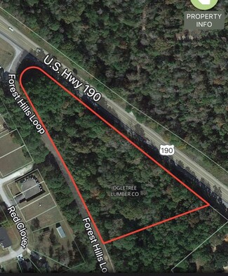 Plus de détails pour 10916 W US Highway 190, Livingston, TX - Terrain à vendre