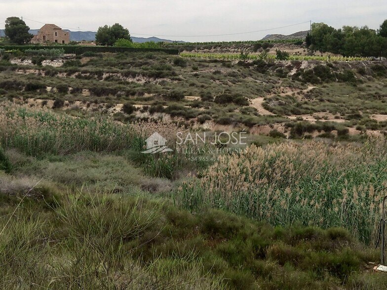 Terrain dans Novelda, Alicante à vendre - Photo principale - Image 1 de 17