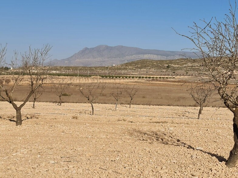 Terrain dans Jumilla, Murcia à vendre - Photo principale - Image 2 de 9
