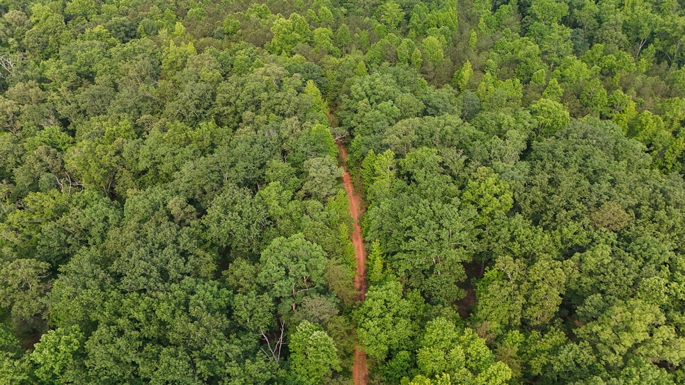 0 Theodore Cox Cir, Canton, GA for sale - Aerial - Image 2 of 15
