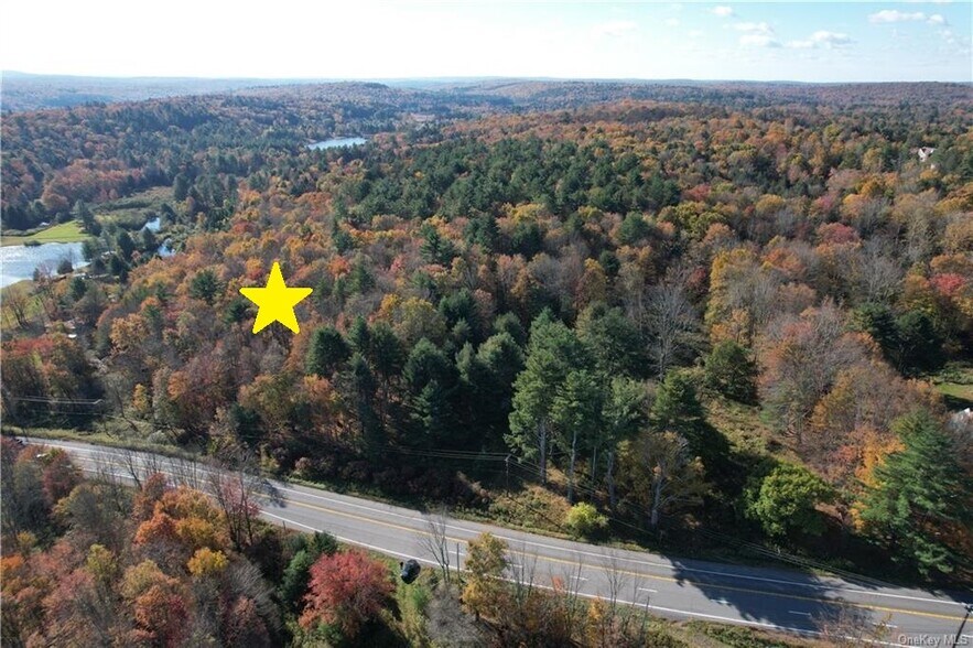 1195 State Route 17B, Bethel, NY à vendre - Aérien - Image 3 de 38
