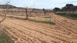 More details for Camino de los Charquillos, Yecla - Land for Lease