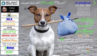 Plus de détails pour 380 Maple Ave, Shrewsbury, MA - Commerce de détail à louer