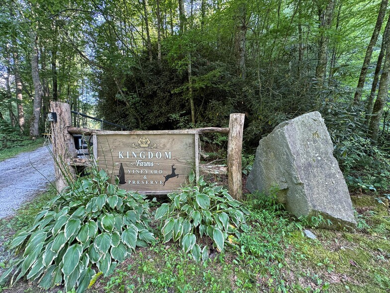 781 Payne dr, Zirconia, NC à vendre - Photo du bâtiment - Image 3 de 40