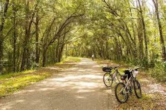 More details for 3350 E Norvell Bryant Hwy, Hernando, FL - Land for Sale