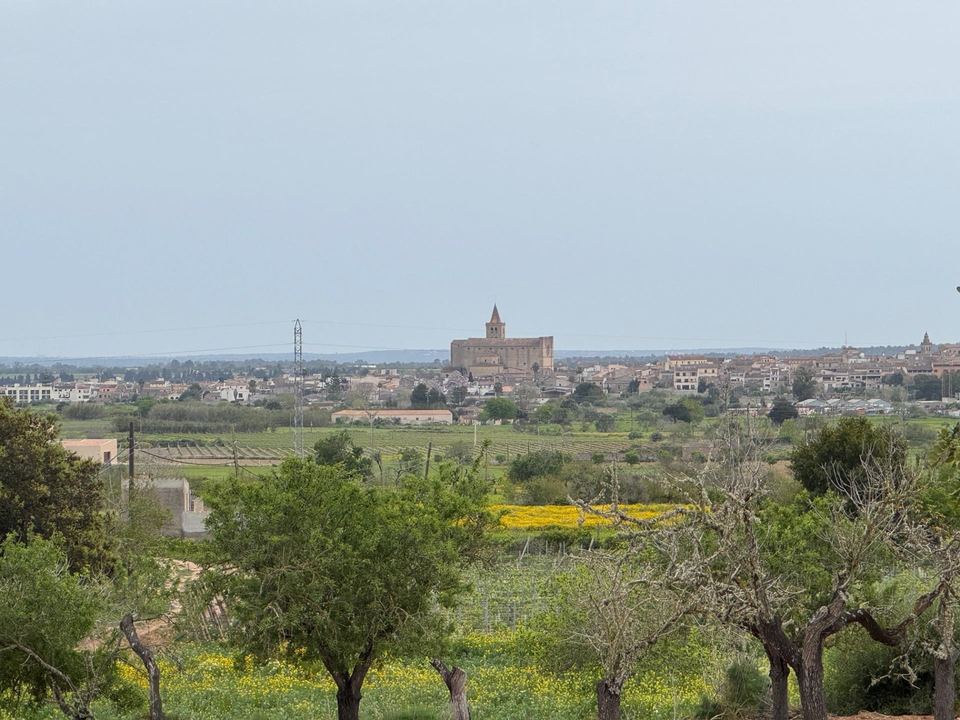 Camí Vel de Porreres, 2, Algaida, Islas Baleares for sale Primary Photo- Image 1 of 37
