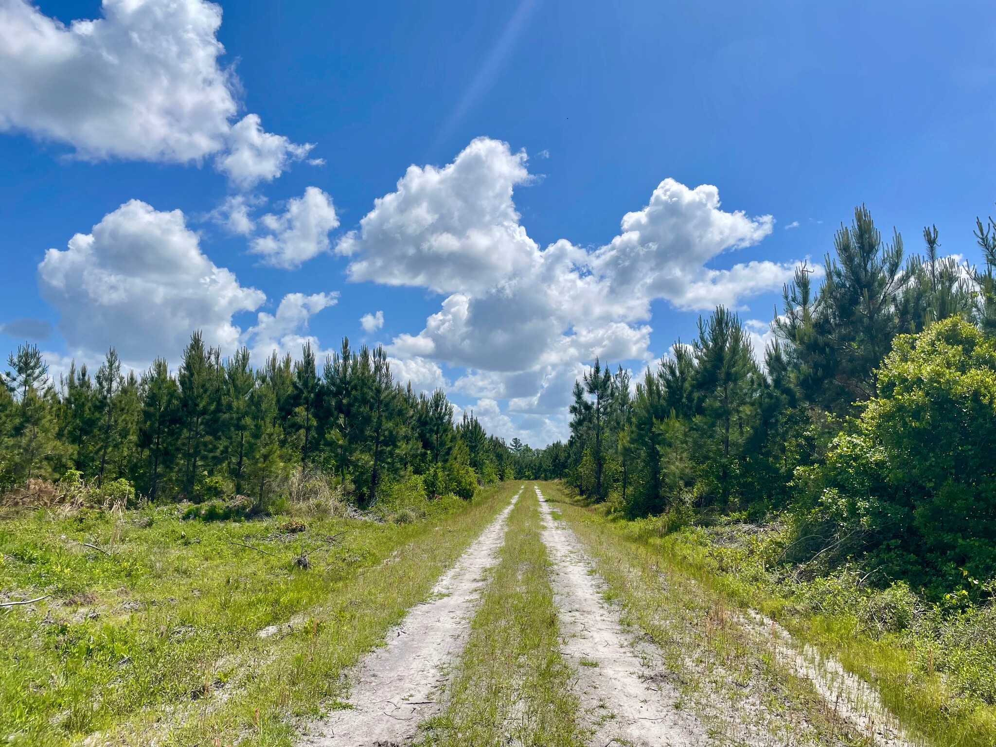 23913 County Road 18, Brooker, FL for sale Building Photo- Image 1 of 1