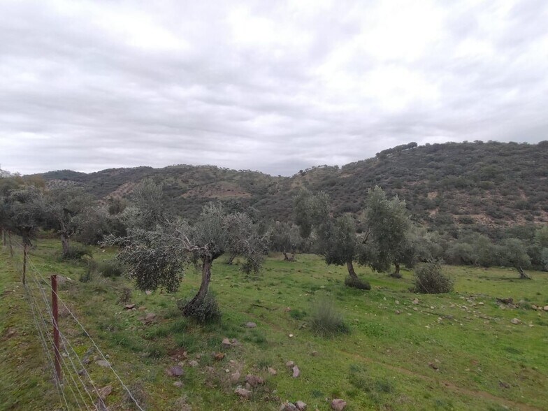 Land in Villanueva del Rey, Córdoba for sale - Aerial - Image 3 of 8