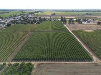 Plus de détails pour 17490 N Bruella Rd, Lodi, CA - Terrain à vendre