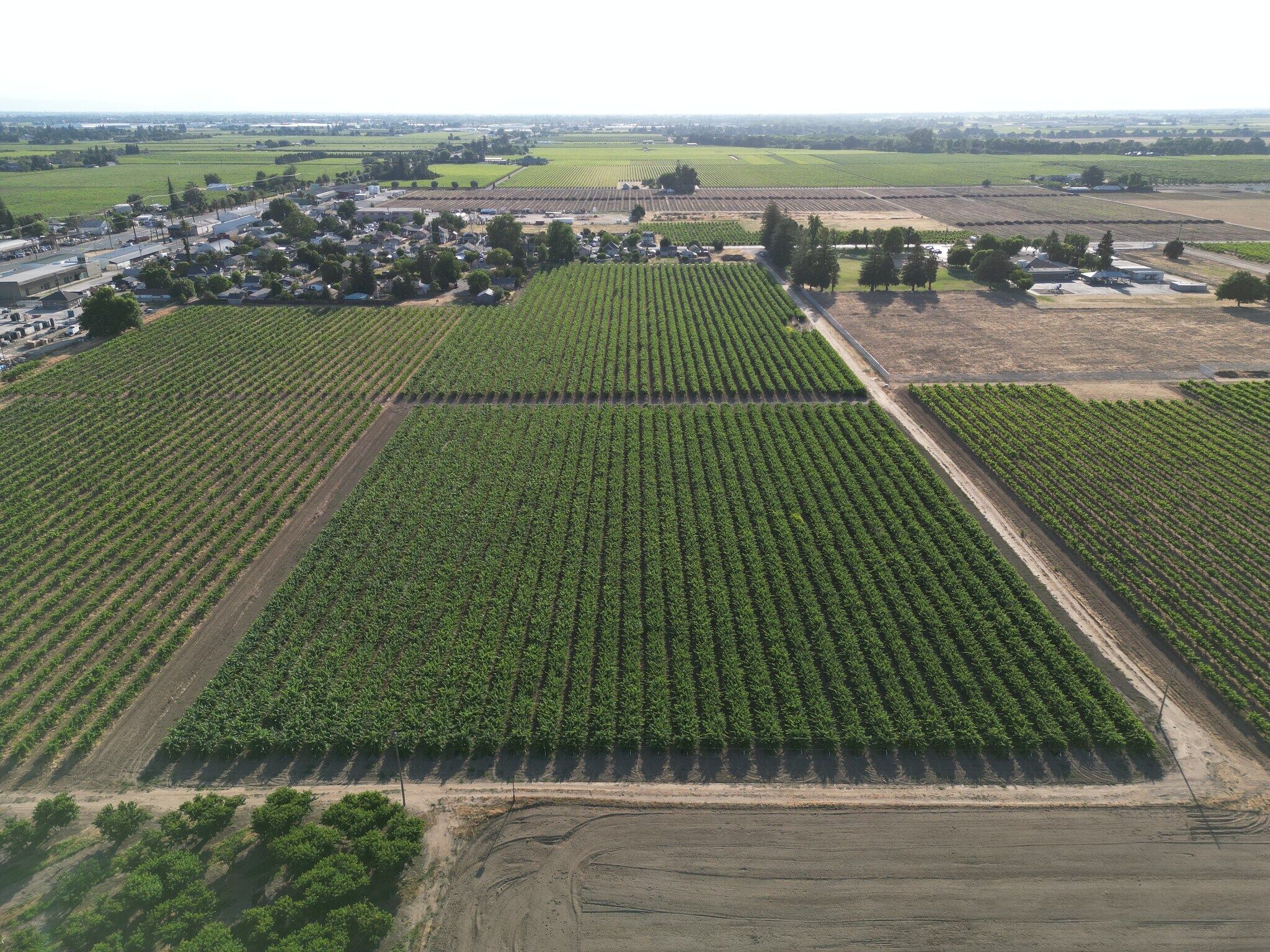 17490 N Bruella Rd, Lodi, CA à vendre Photo du bâtiment- Image 1 de 12