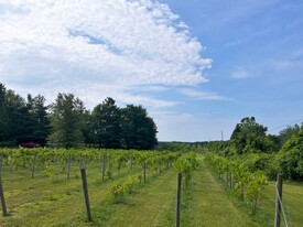 Winery, Vineyard, Brewery, Farm-Tecumseh - Vignoble