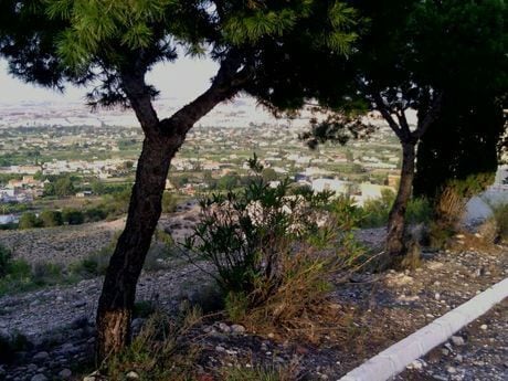 Land in Alguazas, Murcia for sale - Aerial - Image 2 of 9