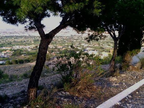 Terrain dans Alguazas, Murcia à vendre - Aérien - Image 2 de 9