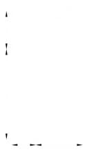 1100 S Highway 260, Cottonwood, AZ à louer Plan de site- Image 1 de 6