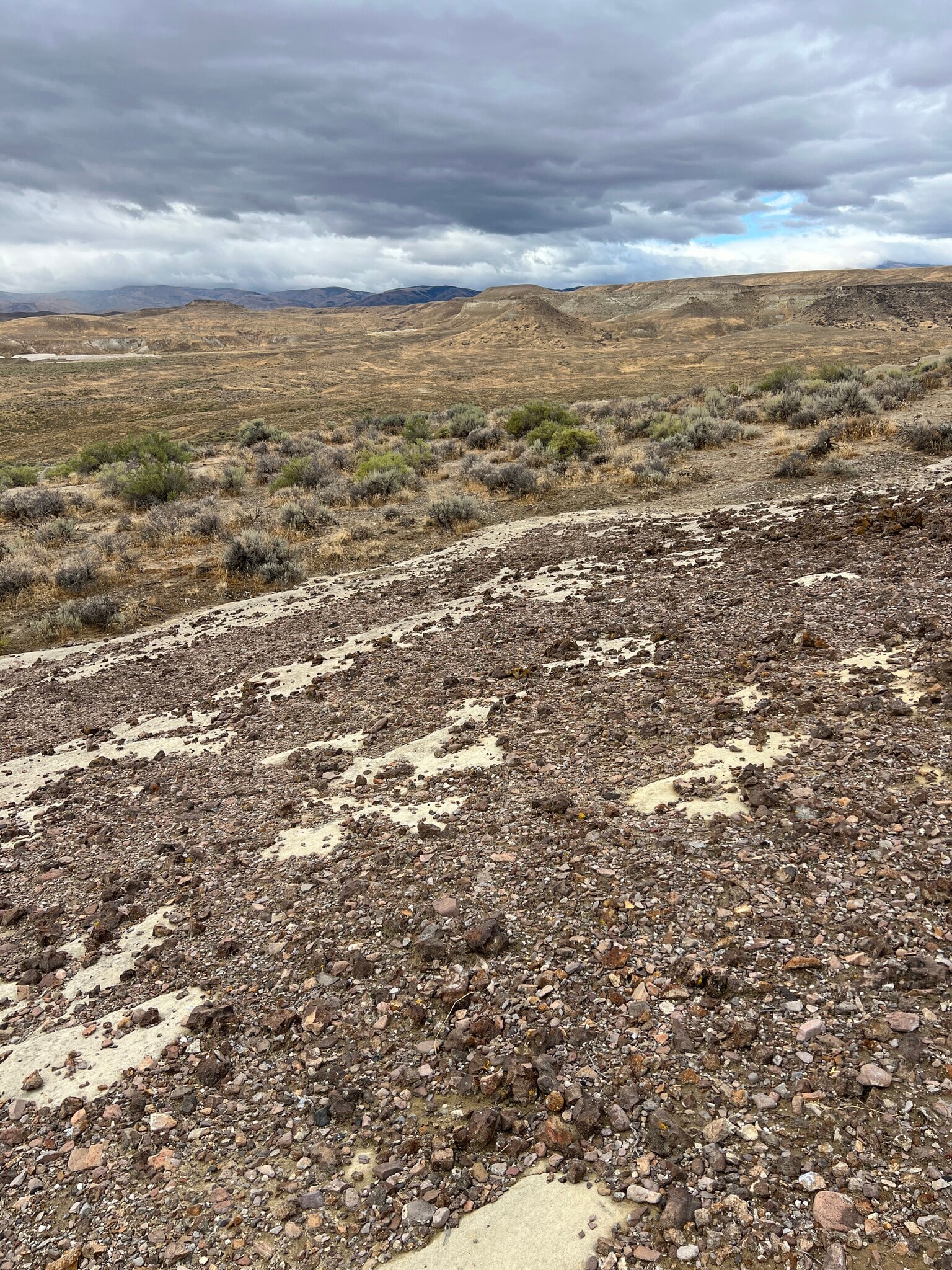 TBD Oolite Mine Interest, Oreana, ID à vendre Autre- Image 1 de 7