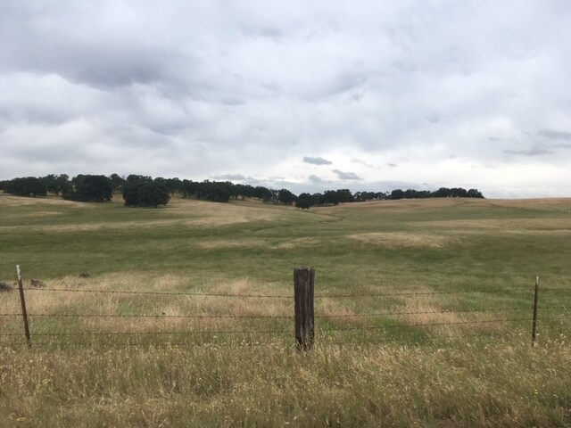 0 0 Cox Lane (733 Acres) Ln, Oroville, CA à vendre - Photo du bâtiment - Image 2 de 6