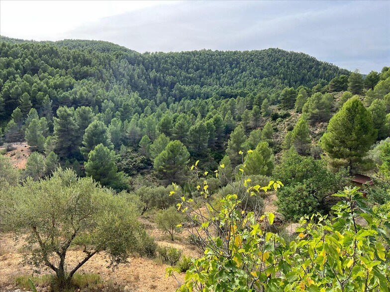 Port, Buñol, Valencia for sale - Primary Photo - Image 2 of 12