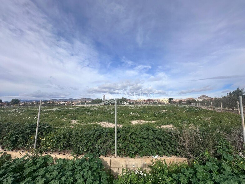 Terrain dans Novelda, Alicante à vendre - Photo du bâtiment - Image 1 de 3